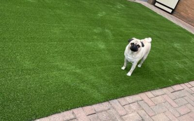 Embrace Spring with Artificial Grass in Doncaster